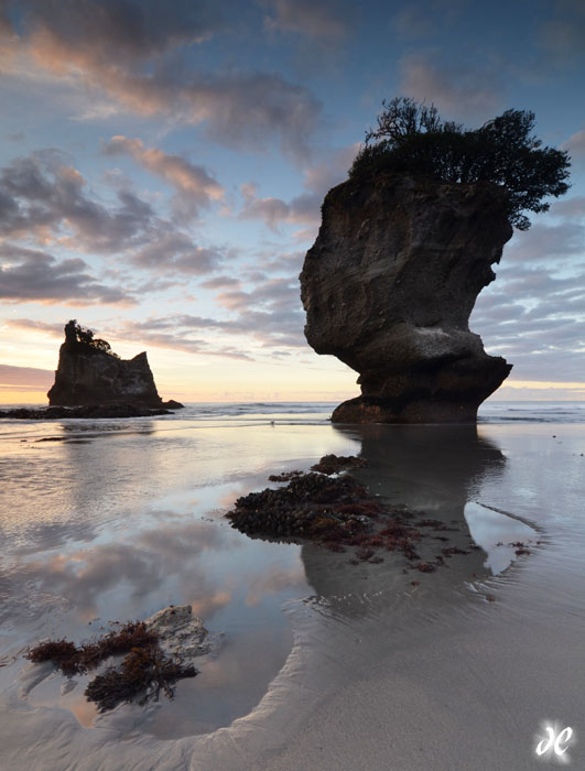 Motukiekie Beach, South Island, New Zealand