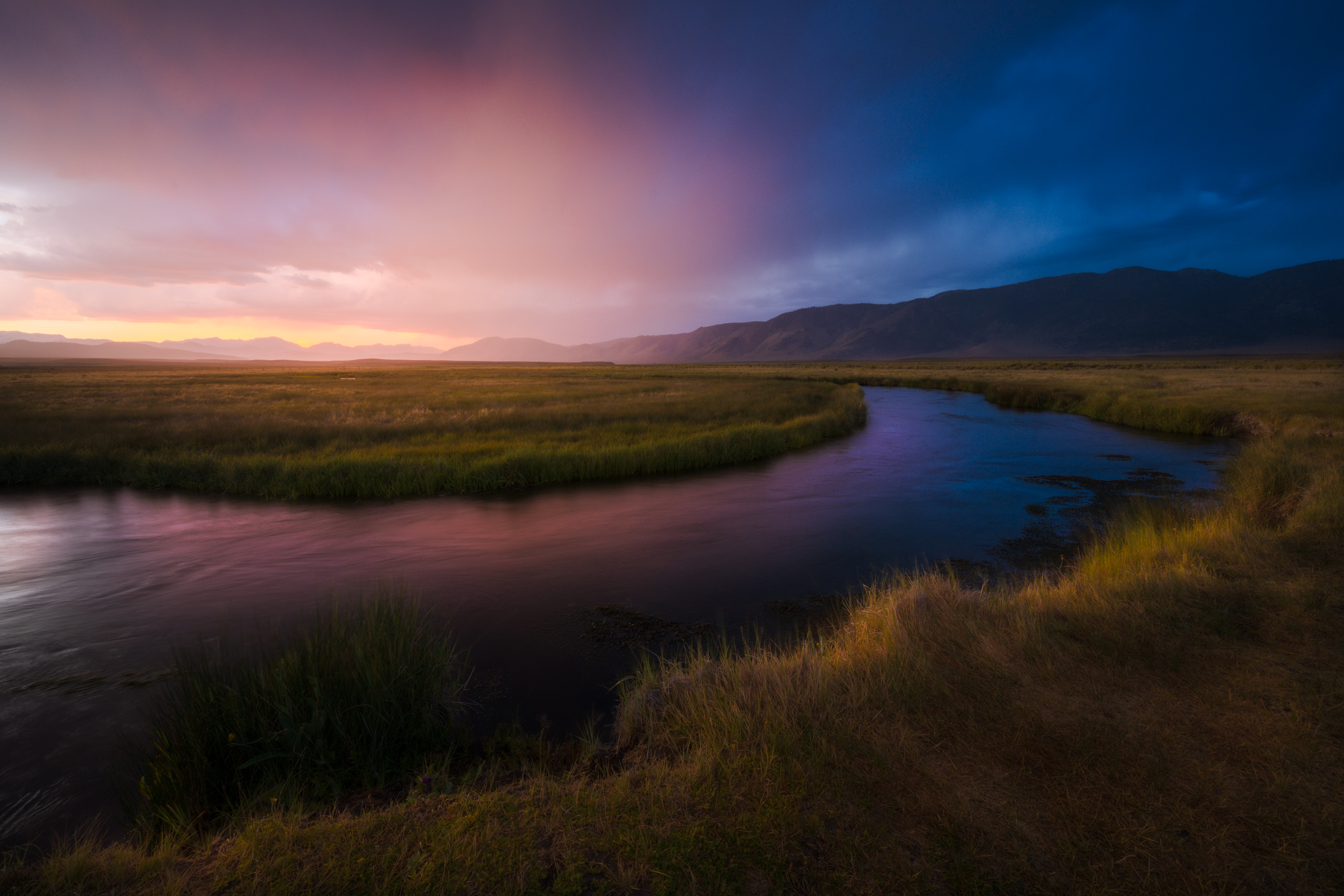 Painterly Processing