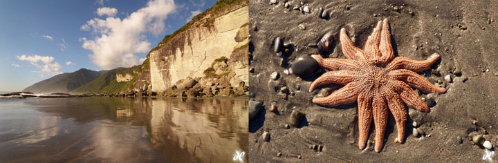 Motukiekie Beach, West Coast, South Island, New Zealand