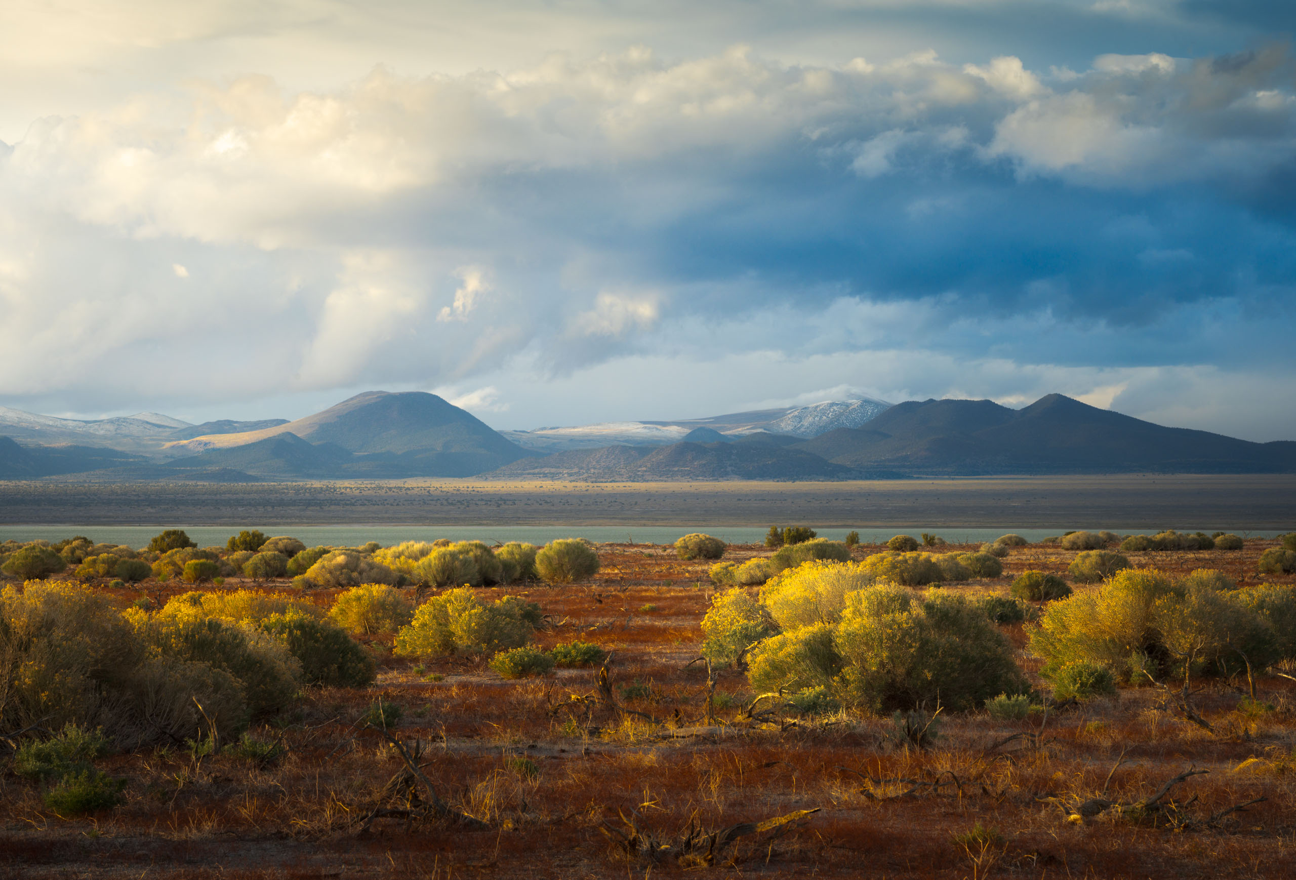 Painterly Processing