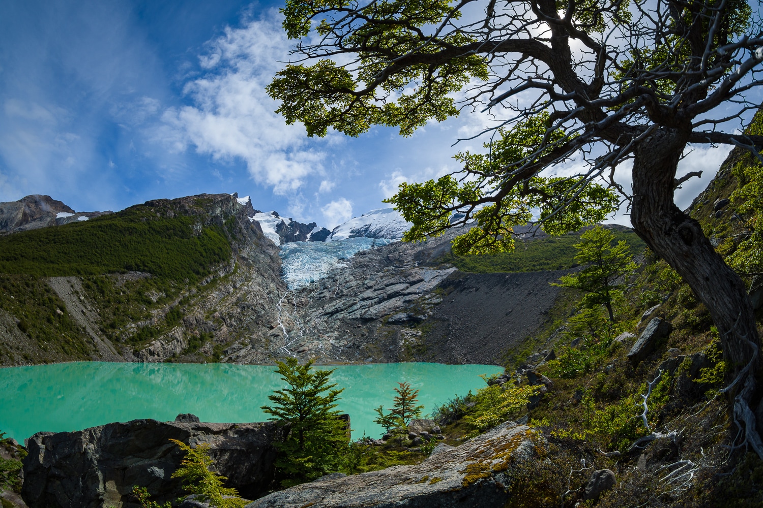 Lago Huemul, Nikon Nikkor 8-15mm Fisheye Sample Photos