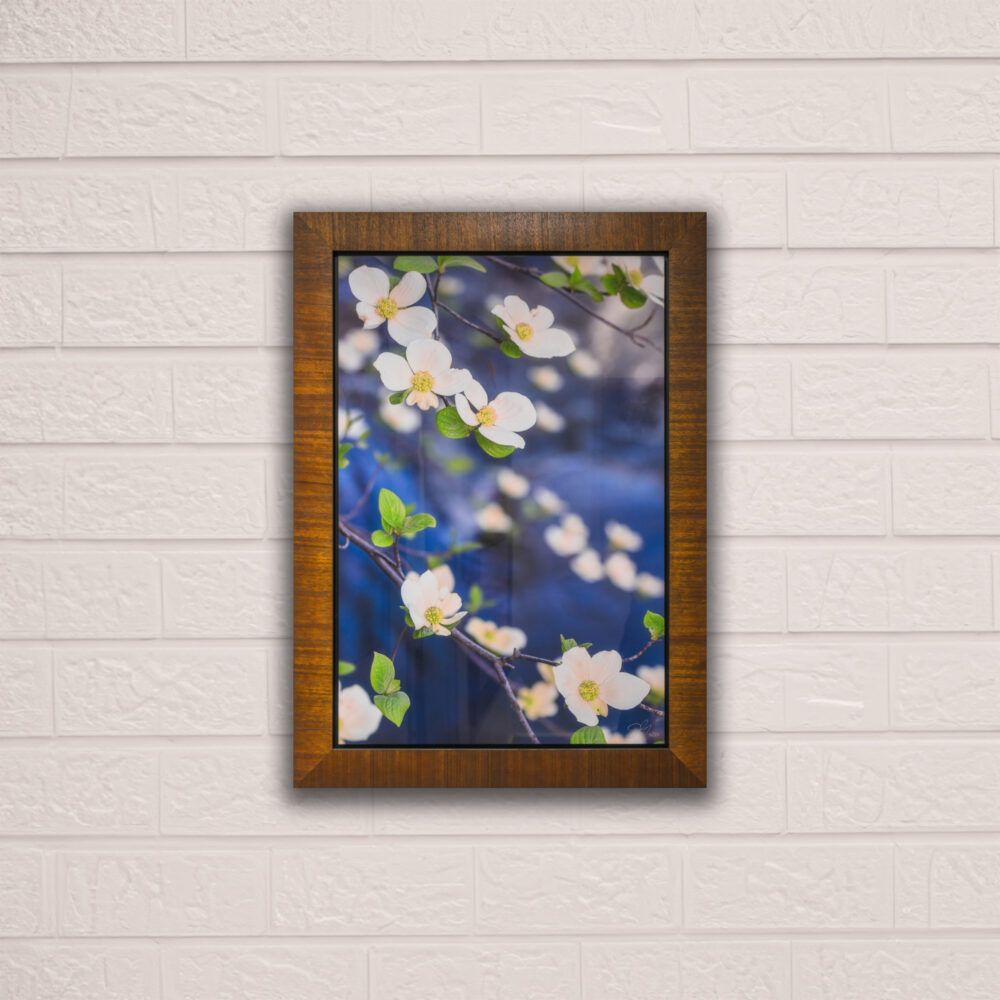 Pohono Bloom<br>Framed 24x36 Metal Print<br>50% Off