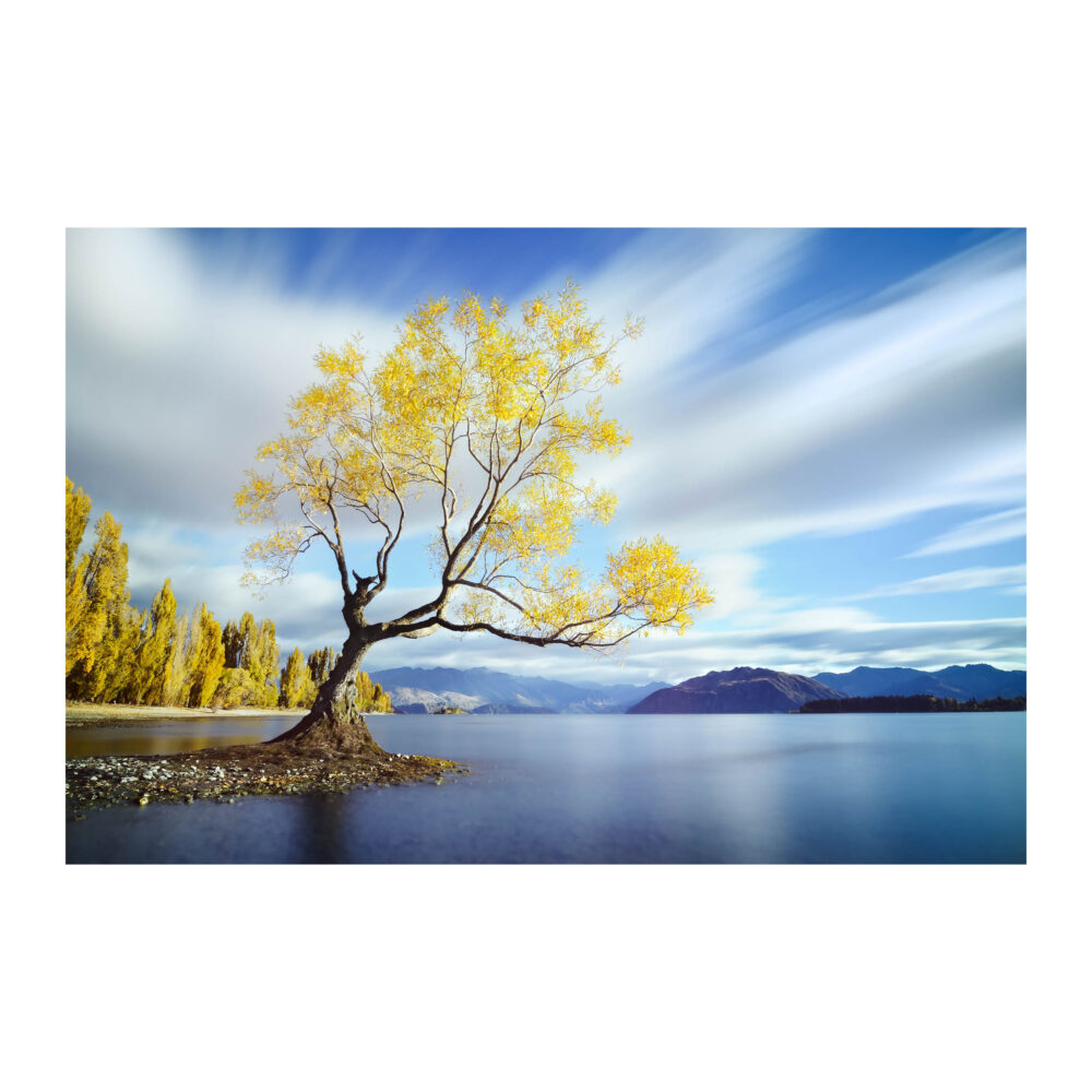 Wanaka Dreaming