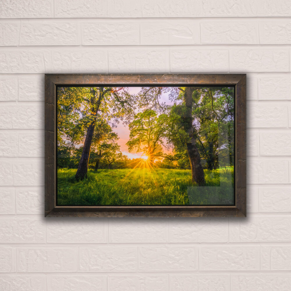 In The Moment<br>Framed 30x45 Metal Print<br>50% Off