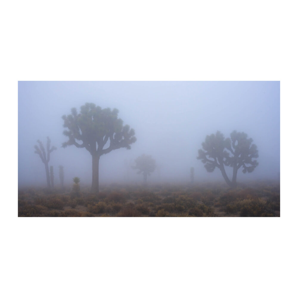 Spectral