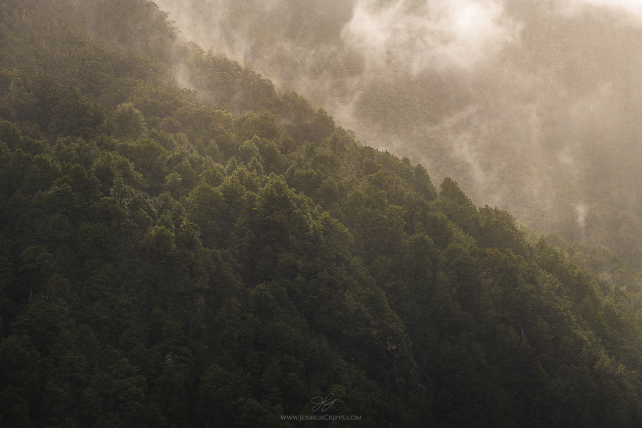 Steam billowing off of the hillsides as rain is backlit by the afternoon sun.
