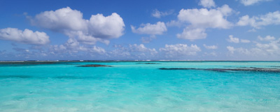 Tropical Water, Tern Island