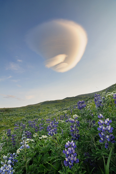 Lenticular Cloud