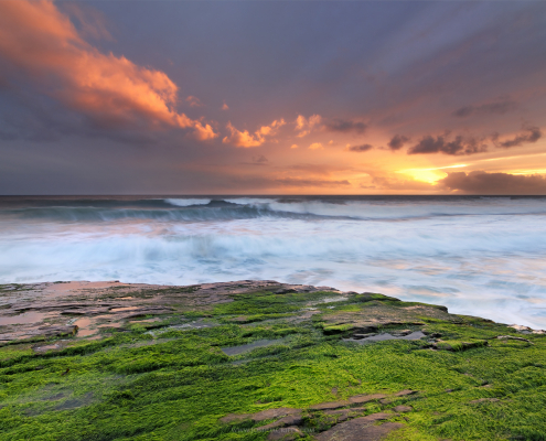 four-mile-wilder-ranch-sunset-santa-cruz