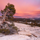 Pothole Dome at sunset in winter, Tuolumne Meadows, Yosemite National Park