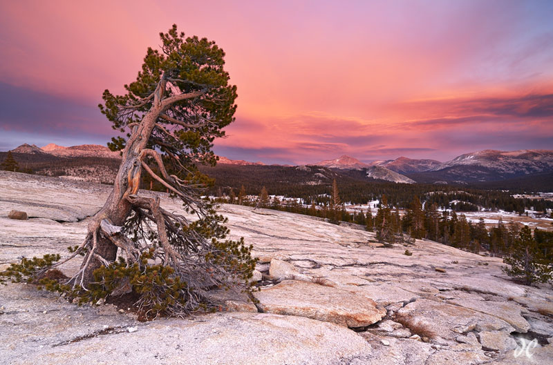 Pothole Dome at sunset in winter, Tuolumne Meadows, Yosemite National Park