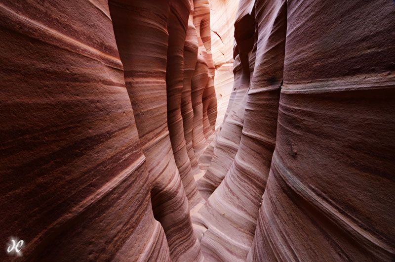 Zebra Canyon, Grand Staircase-Escalante National Monument