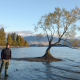 Photographer Josh Cripps at Wanaka Willow