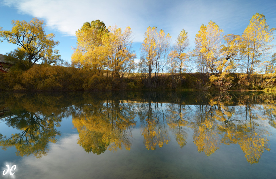 Fall color near Twizel, New Zealand