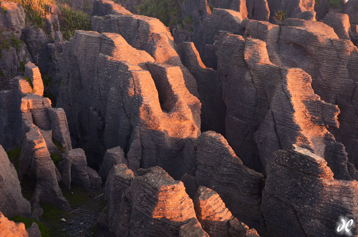 Punakaiki Pancake Rocks in the afternoon, Dolomite Point, West Coast, South Island, New Zealand