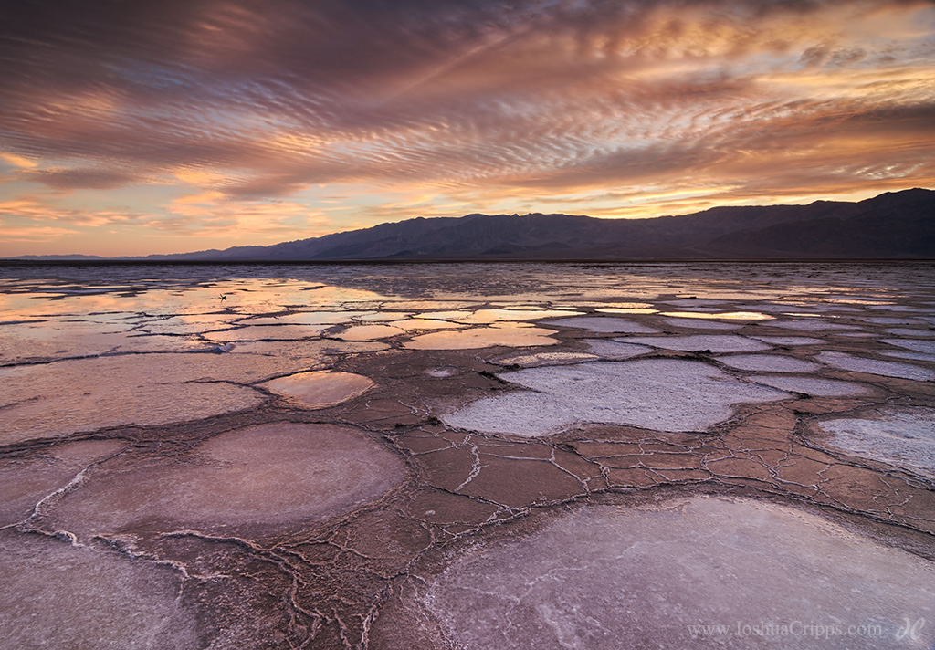 Cottonball-Basin-Salt-Flats-Water-Mud-Sunset