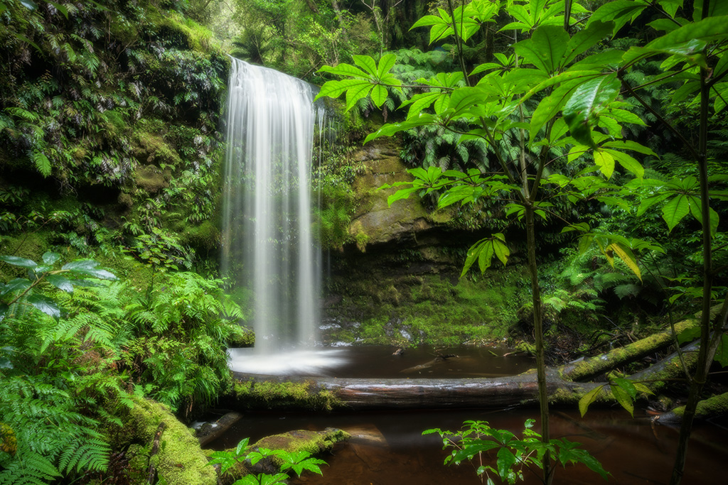 The Untamed Waterfall koropuku-falls-catlins-new-zealand