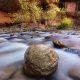 Fall color in the Virgin River Narrows, Zion National Park, Utah
