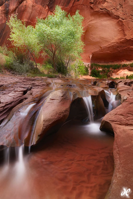 Coyote Falls, Coyote Gulch, Grand Staircase - Escalante National Monument, Utah