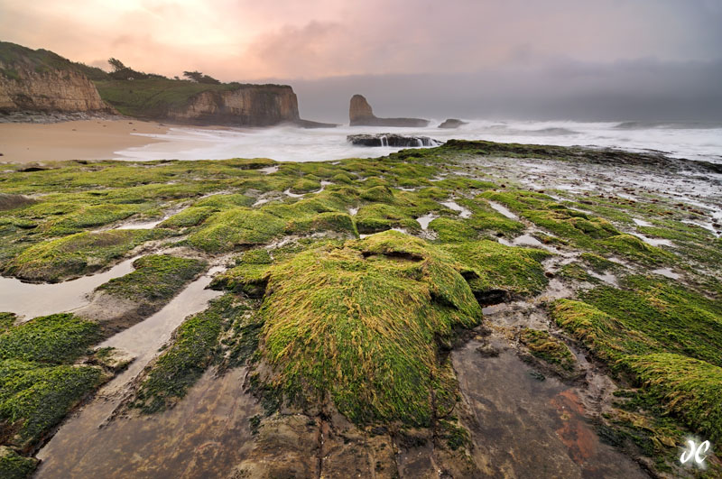 Four Miles of Fog Four Mile Beach sunrise, Santa Cruz, California