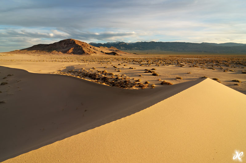 Land of Light and Shadow Ibex Sand Dunes, Death Valley National Park
