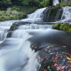 McLean Falls, The Catlins, New Zealand