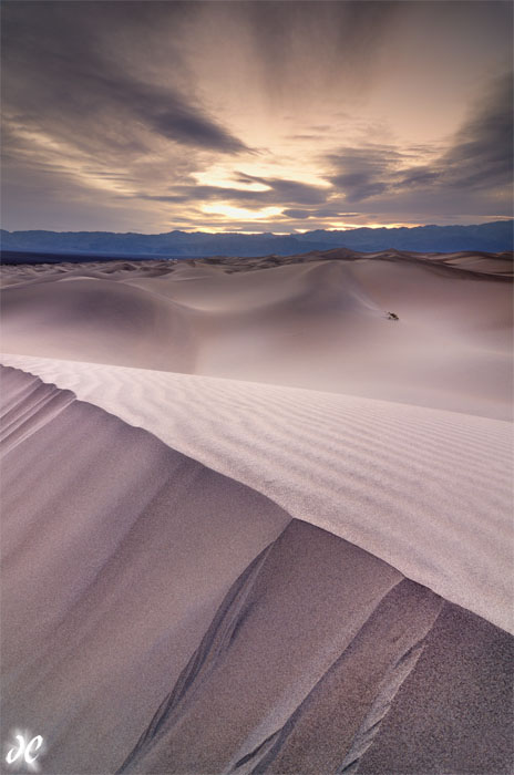 Dune Avalanche Mesquite Sand Dunes sunset, Death Valley National Park