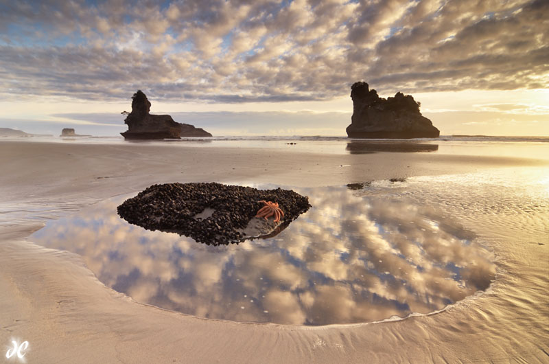 Motukiekie Beach sunset, West Coast, South Island, New Zealand