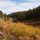 Little Lakes Valley in Fall