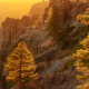 Back-lit pine trees at Trail of the Gargoyles, Stanislaus National Forest