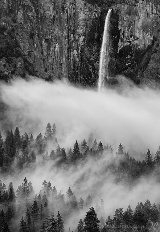 Bridalveil Falls, Yosemite, Black and White