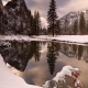 Cathedral Rocks and Merced River in Winter, Yosemite National Park