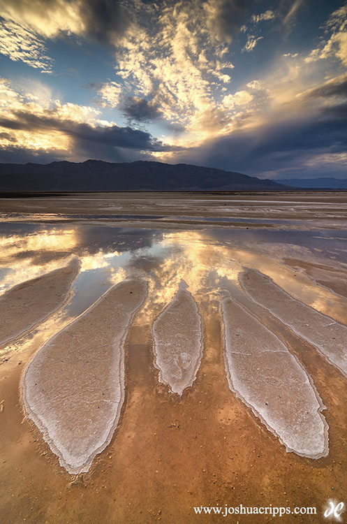 https://www.joshuacripps.com/2013/07/salt-spring-death-valley-national-park/ 