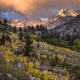 bishop-creek-canyon-aspens