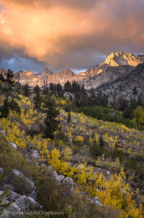 A Not So Quiet Riot bishop-creek-canyon-aspens