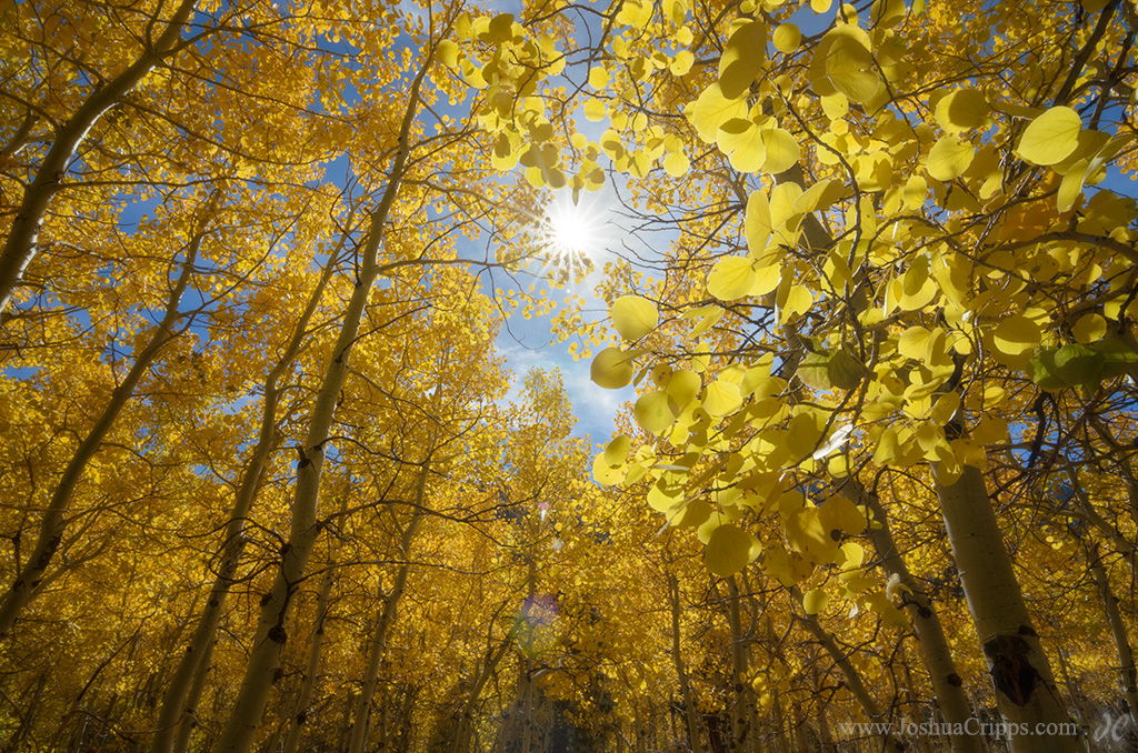 aspens-fall-lundy-lake