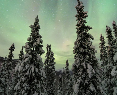 Aurora Borealis, Chena Hot Springs, Alaska