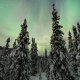 Aurora Borealis, Chena Hot Springs, Alaska