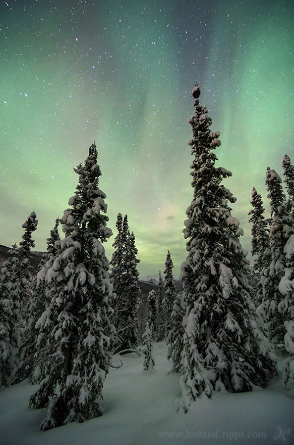 Aurora Borealis, Chena Hot Springs, Alaska