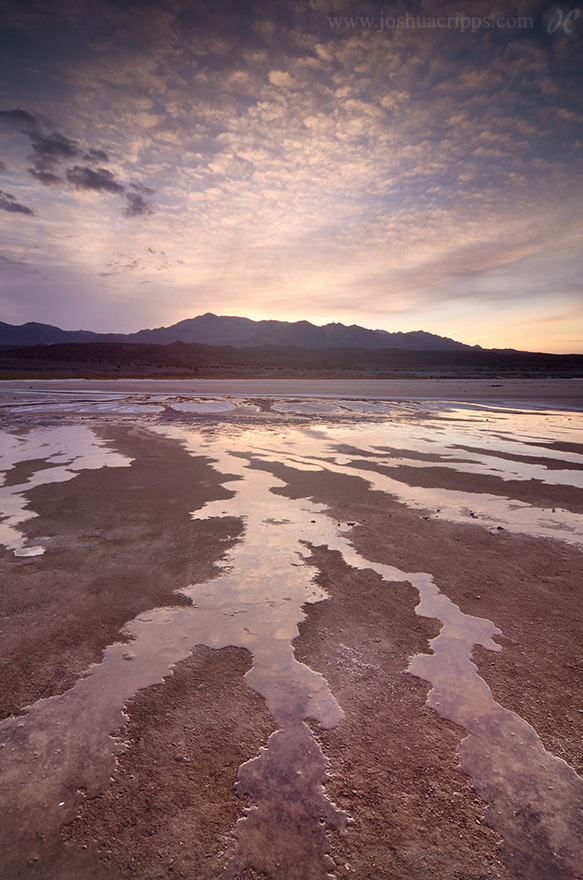 Trickled Pink Water runoff at sunrise in the Cottonball Basin, Death Valley National Park