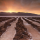 Death-Valley-Borax-Sunset