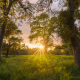 blue-oaks-sunset-table-mountain