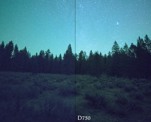 Nikon D750 v sD810 high ISO comparison