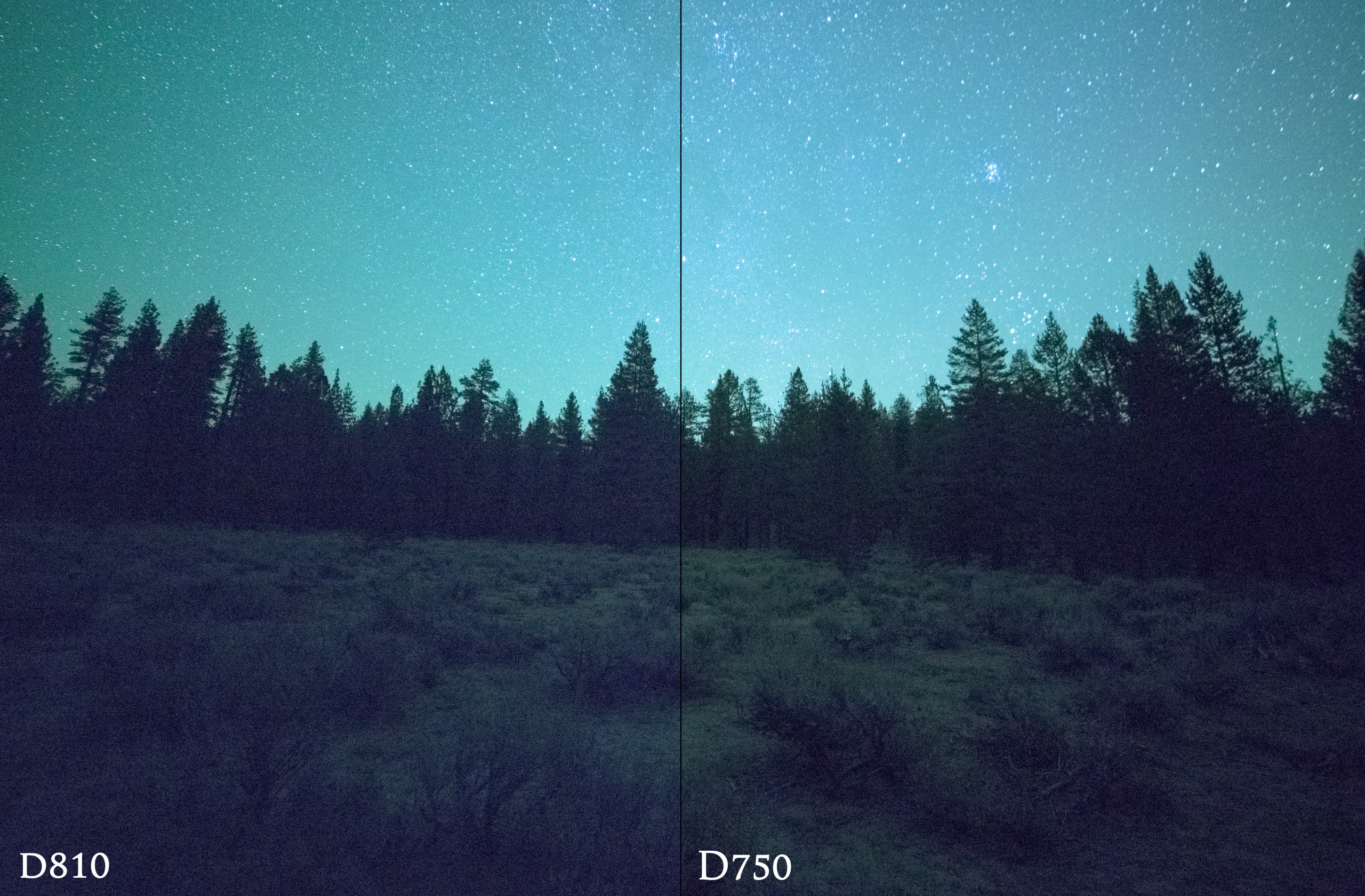 Nikon D750 v sD810 high ISO comparison