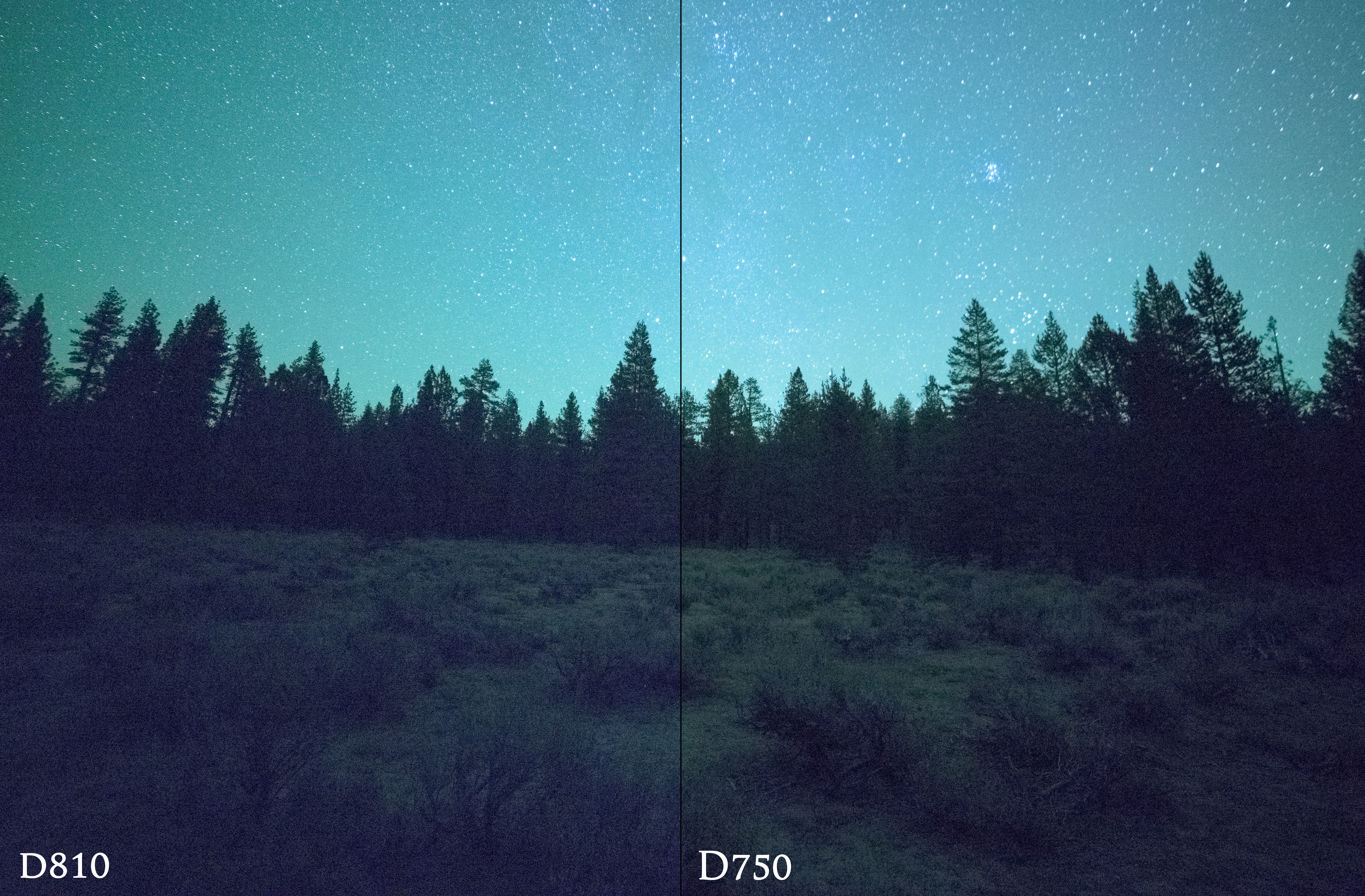 nikon d810vs d750