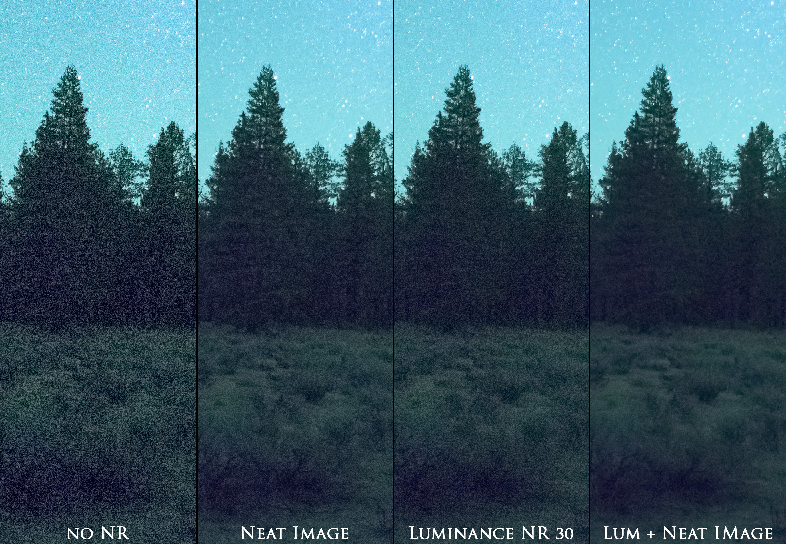 nikon d750vs d810