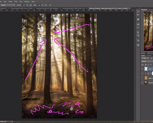 Improve Your Landscape Photos - Remove Distractions