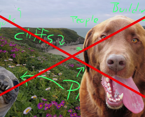 Create Better Compositions - The Most Important Rule in Photograph
