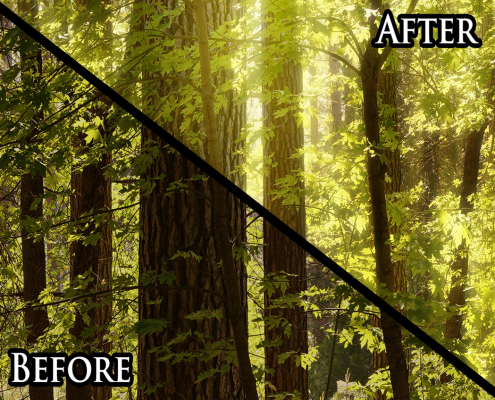 Add magic Orton Glow to photos in Photoshop
