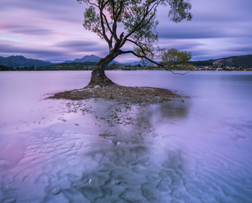 wanaka-tree-sunset-long-exposure